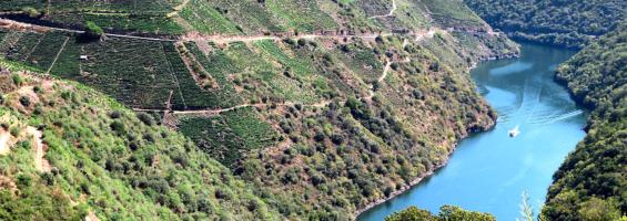Ribeira Sacra Ourense
