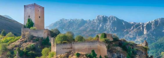 Castillo de la Yedra
